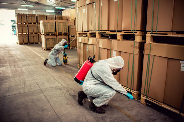 Best Affordable Pest Control Services  in Klamath Falls, OR