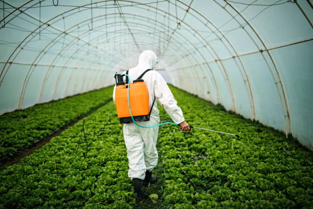 Best Mosquito Control Services  in Klamath Falls, OR
