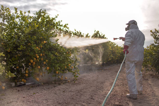 Best Pest Control Near Me  in Klamath Falls, OR