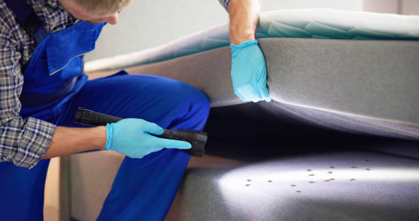 Best Cockroach Control Services  in Klamath Falls, OR