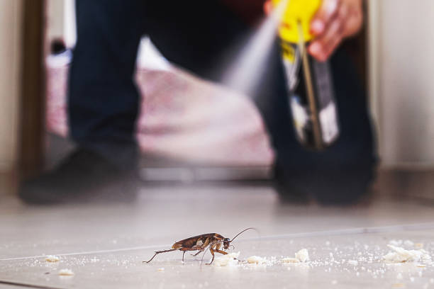 Best Pest Removal Services  in Klamath Falls, OR