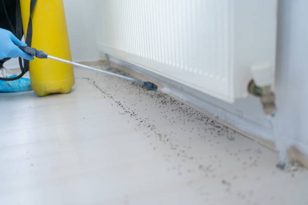 Best Affordable Pest Control Services  in Klamath Falls, OR