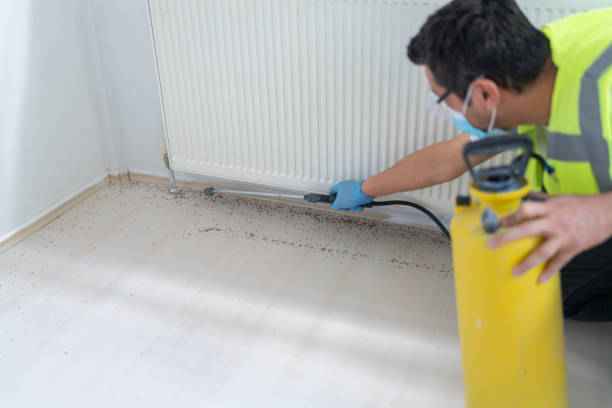 Best Flea Control Services  in Klamath Falls, OR