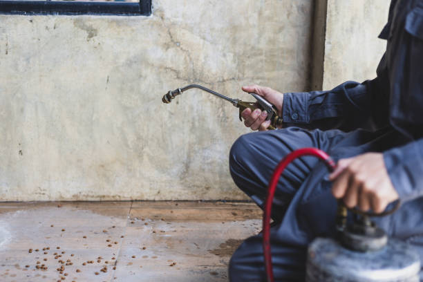 Professional Pest Control in Klamath Falls, OR